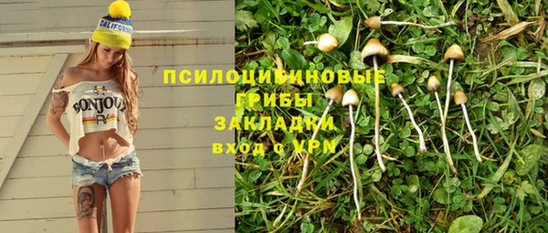 спайс Абдулино