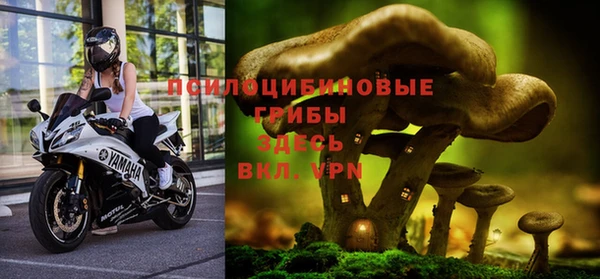 спайс Абдулино