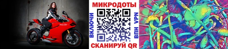 Галлюциногенные грибы Cubensis  OMG маркетплейс  Эртиль 